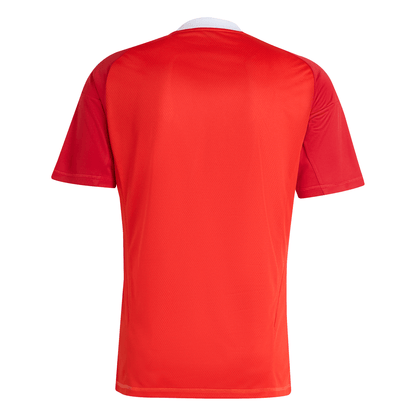 Manto Flamengo Goalkeeper 3 2025 - Sponsor Fan Version