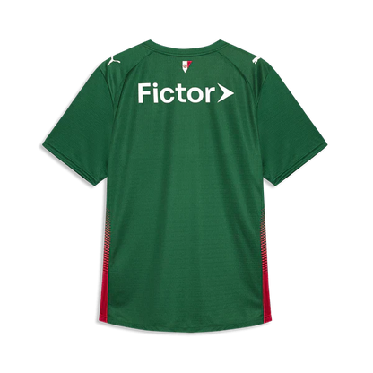 Palmeiras 2026 I Home Jersey - Fan Version