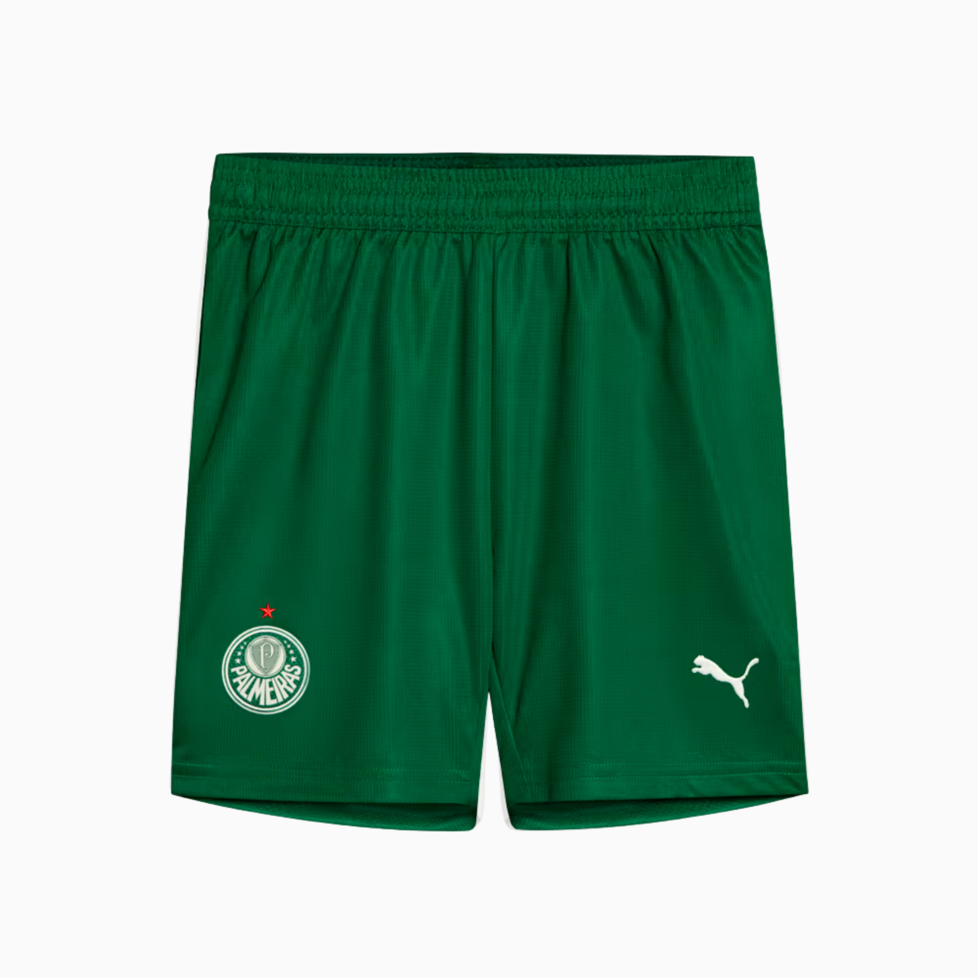 Shorts Palmeiras 2025 II – Fan Version