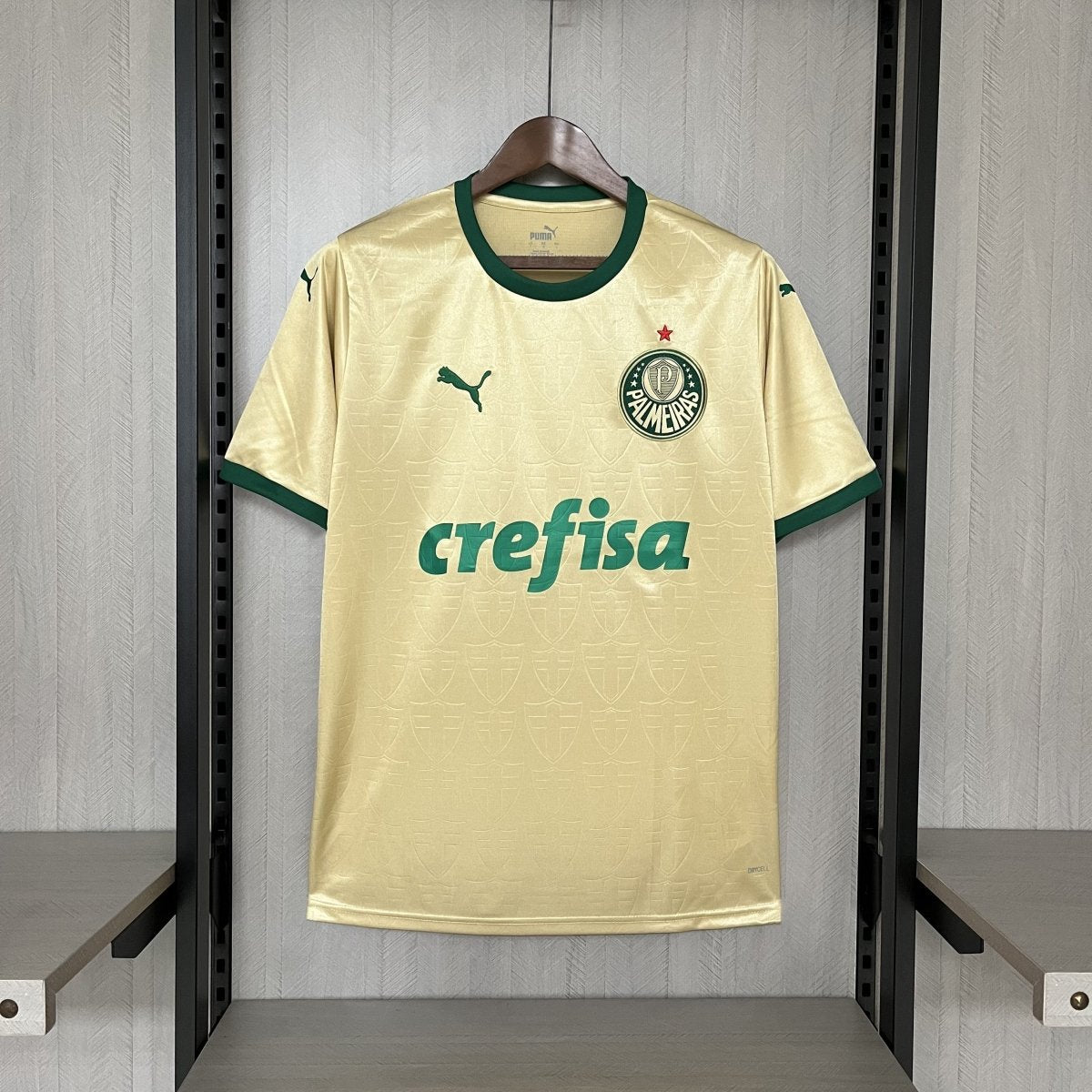 Jersey Palmeiras Fan Version Third 24/25