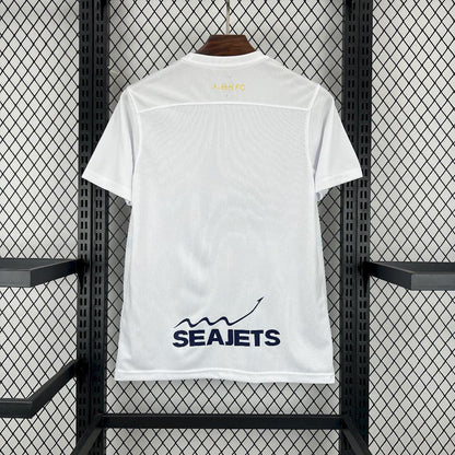 25/26 AEK Athens Second Away - Fan Version