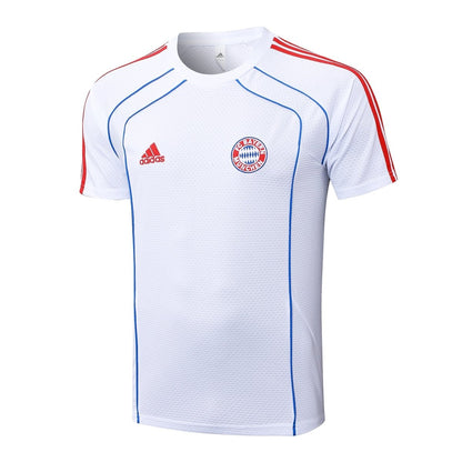 Adult Training Kit Bayern Munich 2025/26 Shorts and Jersey