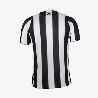 Jersey Men's Santos 2024/25 II Fan Version