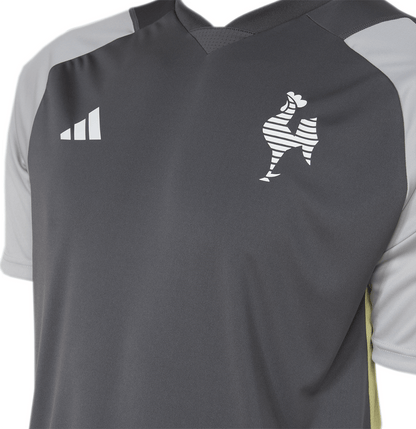 Jersey Atletico Mineiro Training Staff 24/25