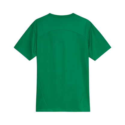 Jersey Palmeiras 25/26 Training Green