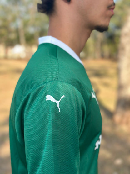 Jersey Palmeiras I 2025