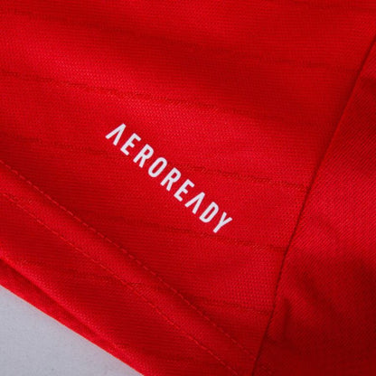 Benfica Home Fan Jersey 2024/25 Patches UCL UEFA Foundation (Official Printing)