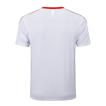 Adult Training Kit Bayern Munich 2025/26 Shorts and Jersey