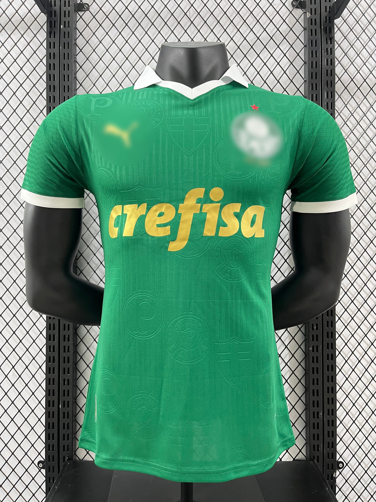Jersey Palmeiras Home 24/25 s/n° Player Version Puma - Green
