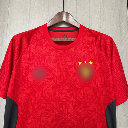 Jersey Sport Recife Training 24/25