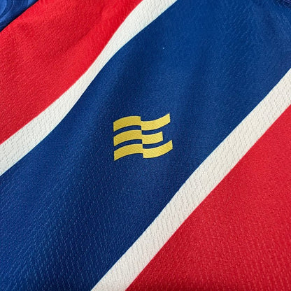 Jersey Bahia 24/25 Uniforme 2 Jogo