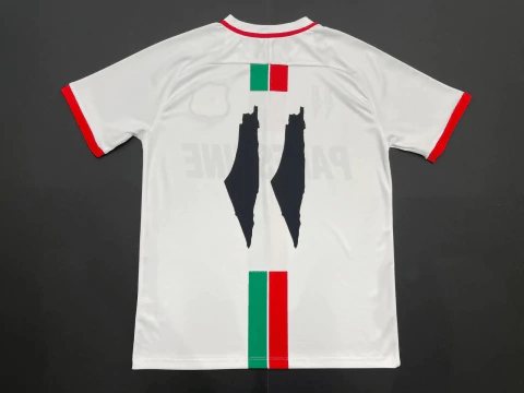 Palestina 2023/24 (Club Desportivo Palestino) - Fan Version Men's - White Jersey