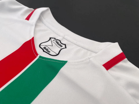 Palestina 2023/24 (Club Desportivo Palestino) - Fan Version Men's - White Jersey
