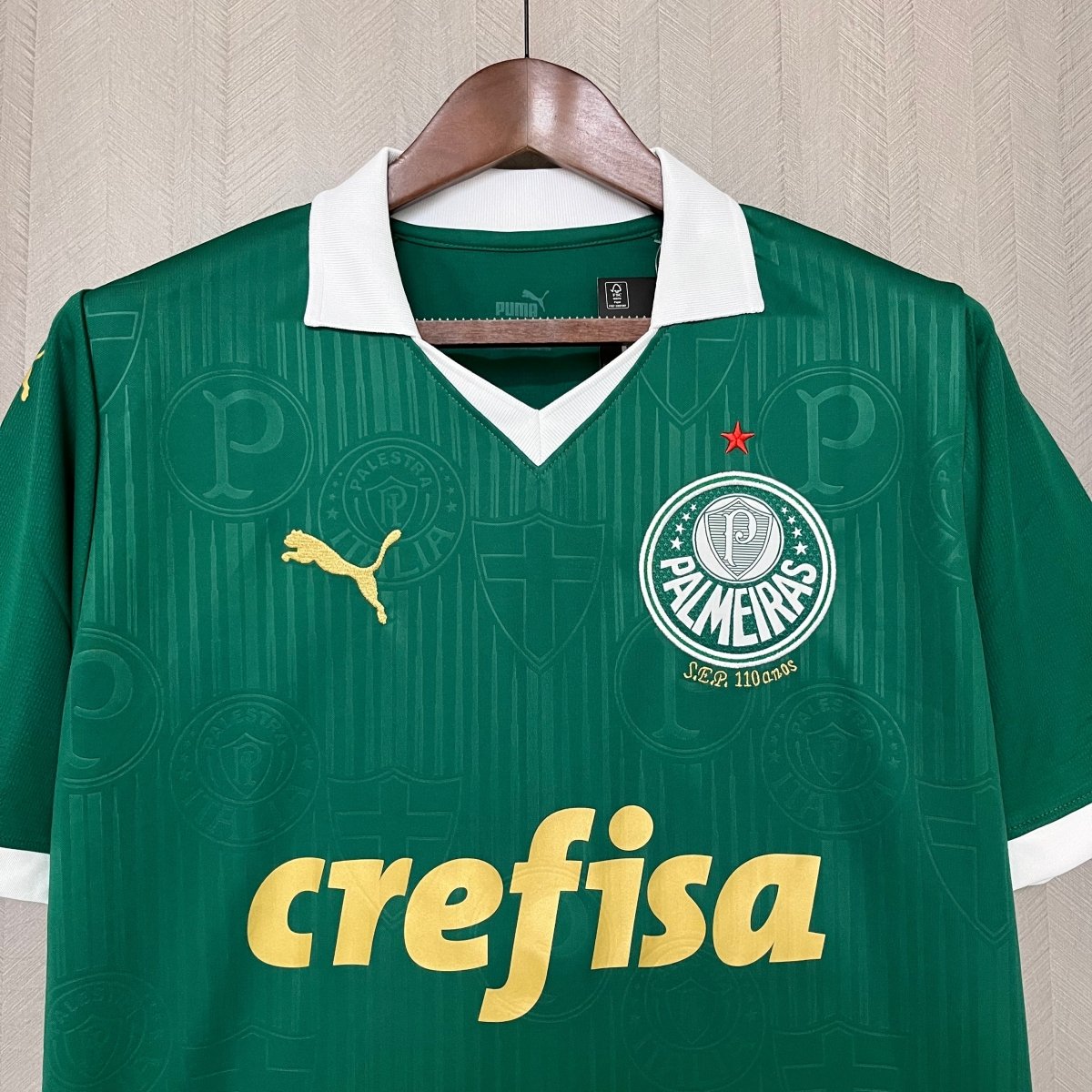 Palmeiras I 24/25 Puma Jersey