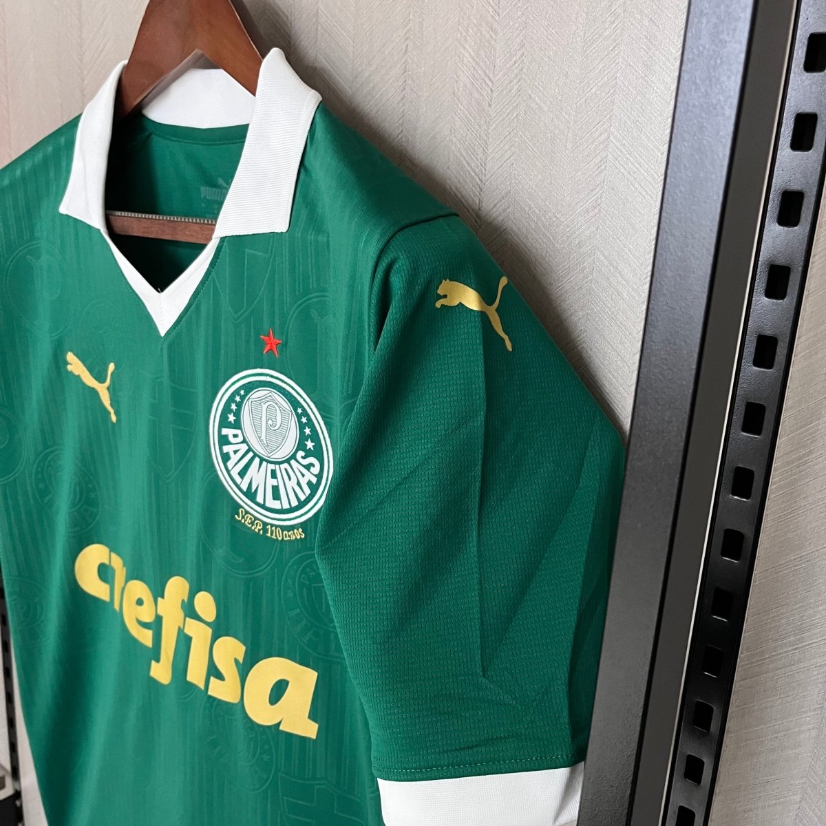 Palmeiras I 24/25 Puma Jersey