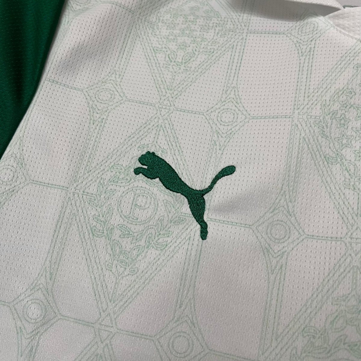 Puma Palmeiras II 2025 - (Women's) Jersey