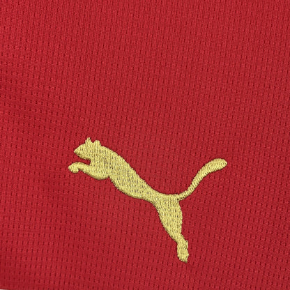 Mens Haiti 2026 World Cup Third Jersey - Fan Version