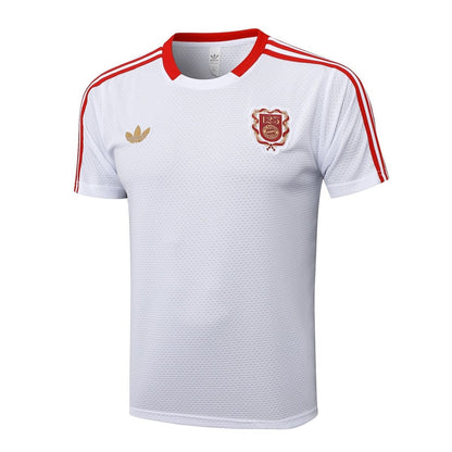 Adult Training Kit Bayern Munich 2025/26 Shorts and Jersey