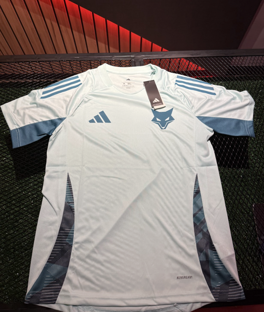 [PRONTA ENTREGA] Jersey Adidas Cruzeiro Training 2025