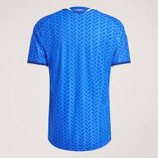 Jersey Italy 2025/26 Home - Fan Version