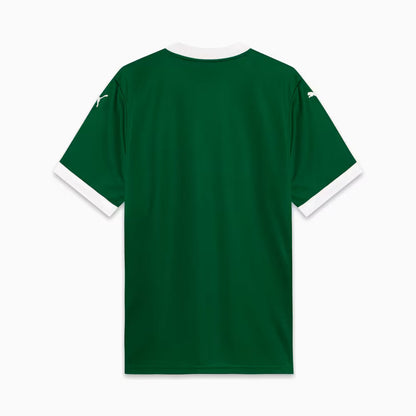 Jersey Palmeiras I 2025