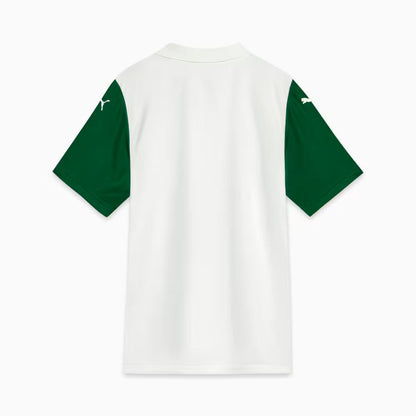 Jersey Palmeiras II 2025