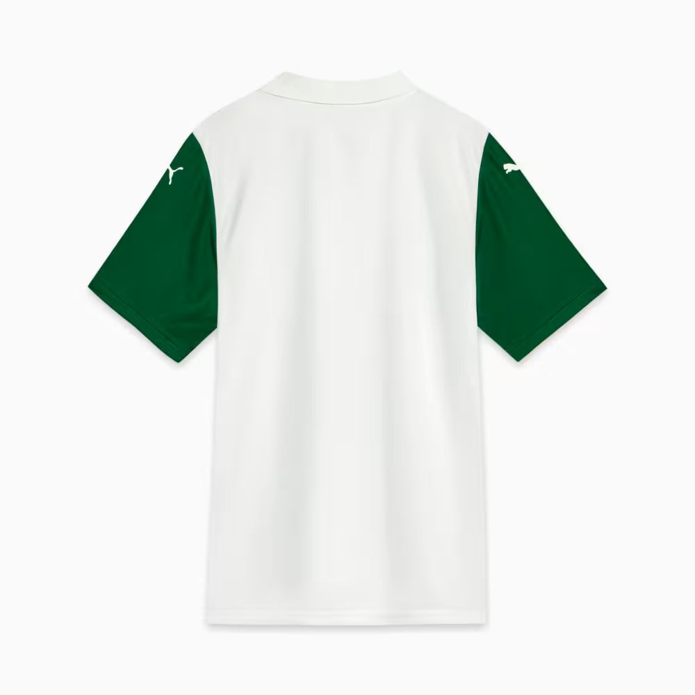 Puma Palmeiras II 2025 Jersey