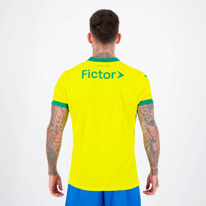 Palmeiras 2025 Third Jersey - Fan Version